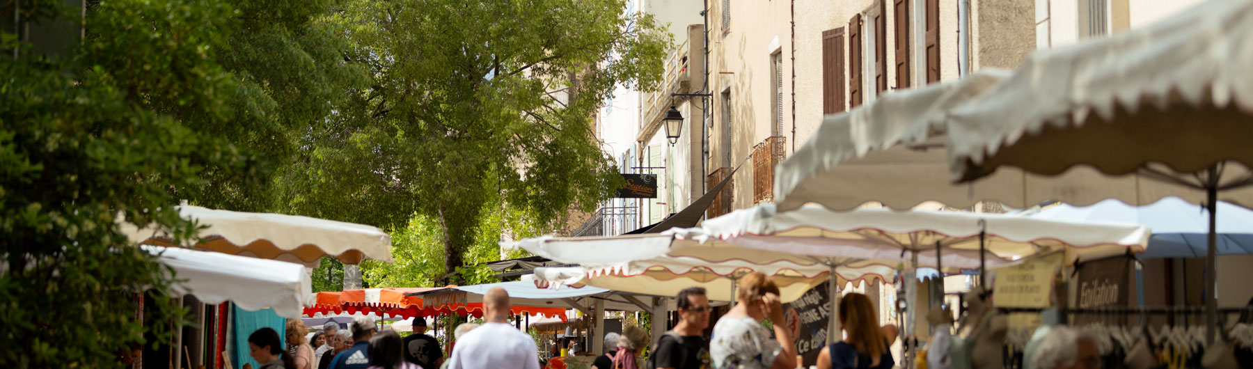 image du paysage de saint michel